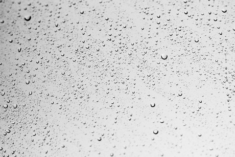 Raindrops on a window pane