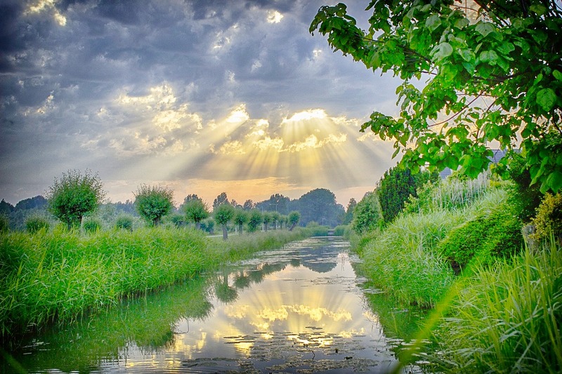 Sun breaks through clouds and reflects off of a creek in a verdant landscape
