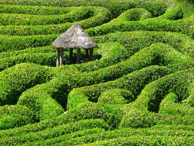 A hedge labyrinth with a rustic thatched hut at the center