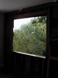 Looking out at green trees from a dark room