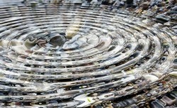 A stone hits the surface of a pond and sends out a circle of ripples