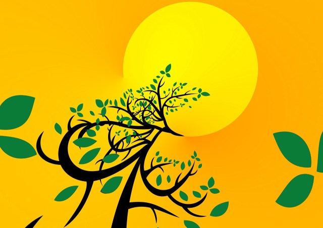 Graphic of a large sun, with a vine stretching out from it towards the earth