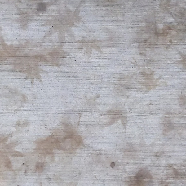 silhouettes left by fallen sweet gum tree leaves on sidewalk pavement