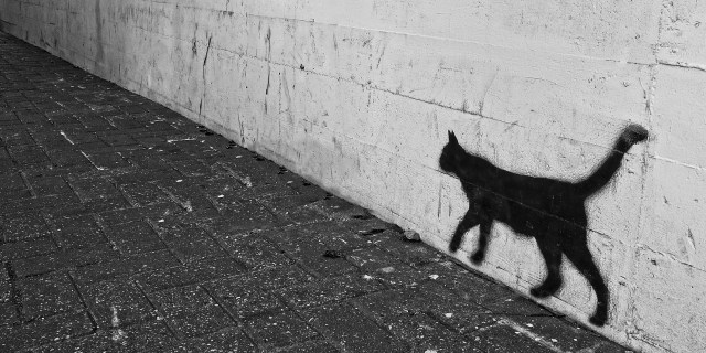The silhouette of a black cat painted on a wall along a paved alleyway