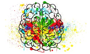 Line drawing of brain splashed with brilliant colors