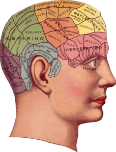 Vintage illustration of a head, with the brain diagrammed in colored and labelled sections