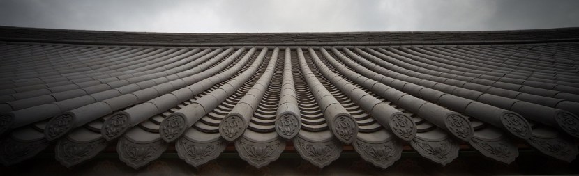 A Korean roof, with long lines of identical tiles ending in decorated caps
